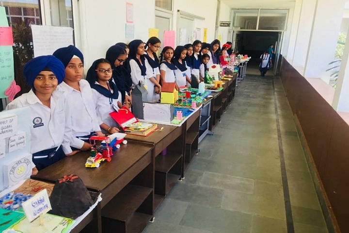 Sant Baba Bhag Singh International School-Exhibition
