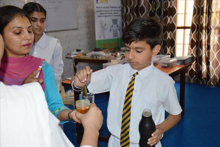 Sant Ishar Singhji Memorial Public School-Activity