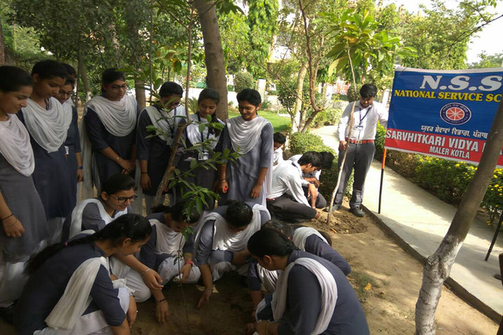 Sarvhitkari Vidya Mandir-Tree Plantation