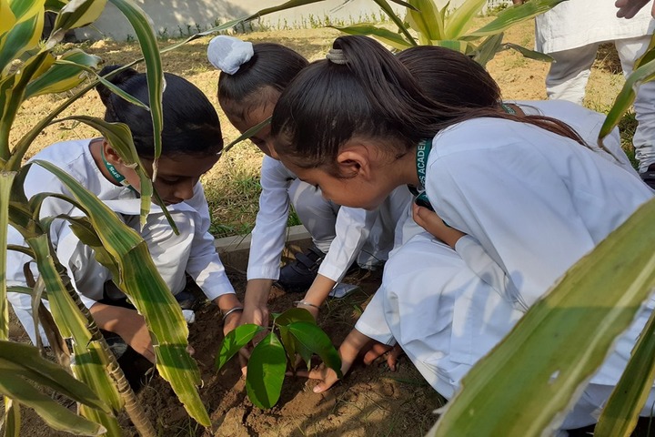 Satguru Partap Singh Academy-Plantation