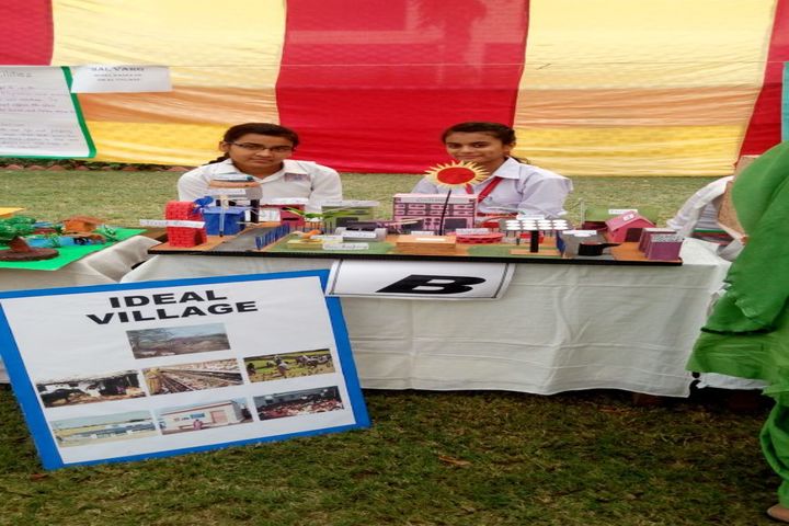 Sh Surender Kumar Gupta Saruhitkari Vidya Mandir-Science Fair
