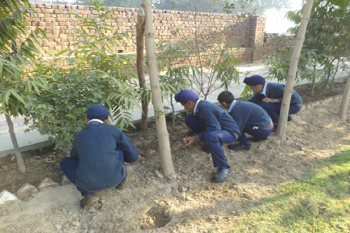 Shaheed Baba Deep Singh Public School-Tree Plantation