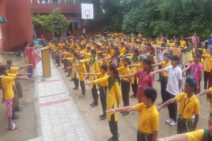 Shaheed Babu Singh Public School-Assembly