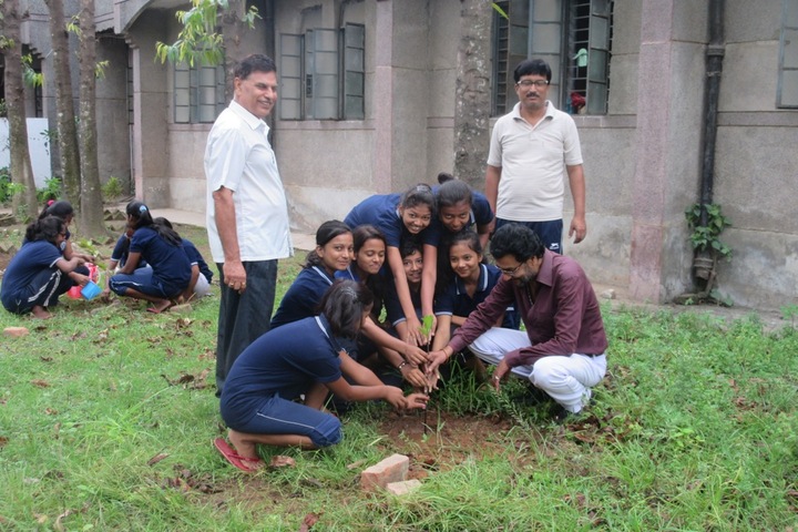 Jawahar Navodaya Vidyalaya-Green Day