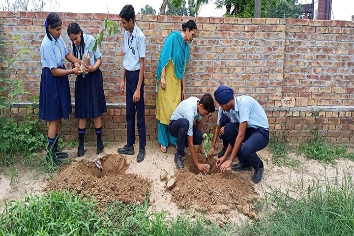 Shri Guru Nanak Dev Public School-Plant A Tree Program