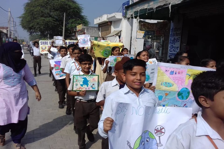 Shri Usha Mata Public School-Railly