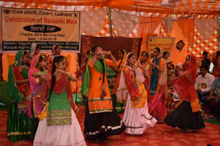 Sidhu Memorial Public School- event2