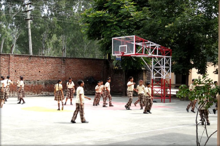 SMDRSD Collegiate Senior Secondary School-Play Ground