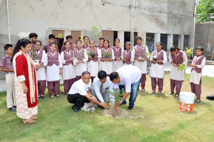 Smt Karam Bai Dav Centenary Public School-Tree Plantation