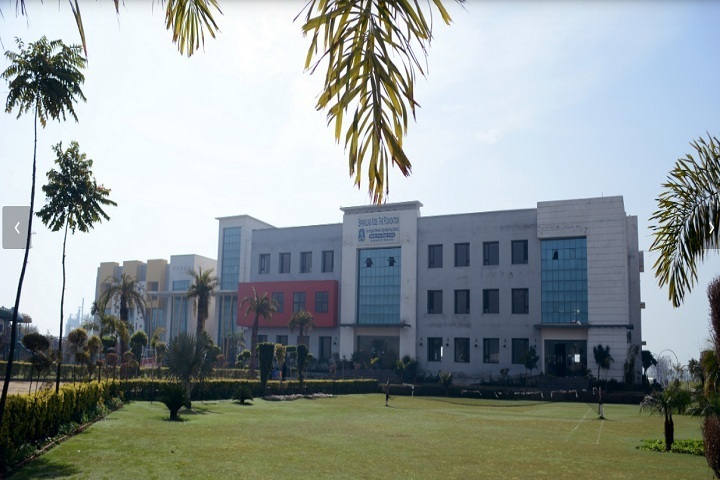 Sparkling Kids The Foundation-Campus View