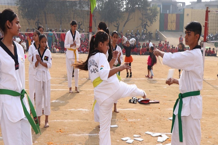 Spring Dales Public School-Karate