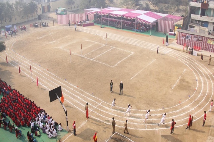 Spring Dales Public School-Playground