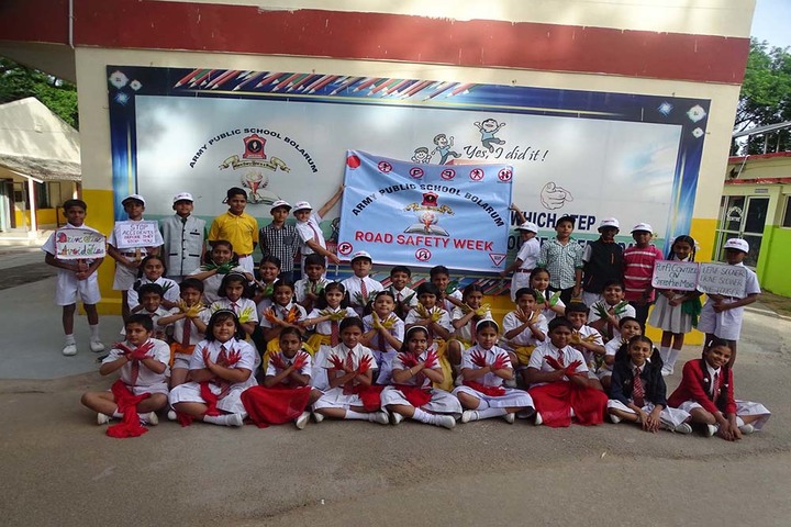 Army Public School-Others