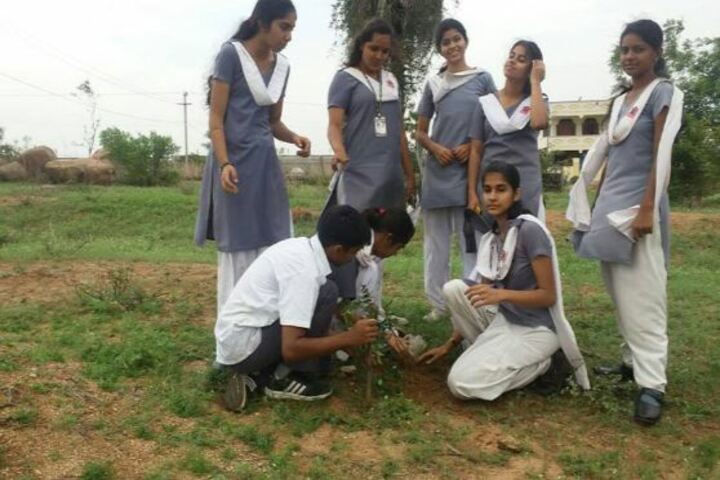 Army Public School-Planting
