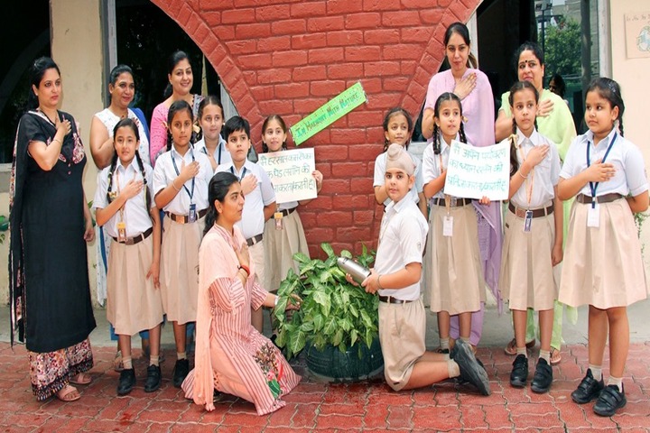 Springdale Senior Secondary School-Water Conservation Activity