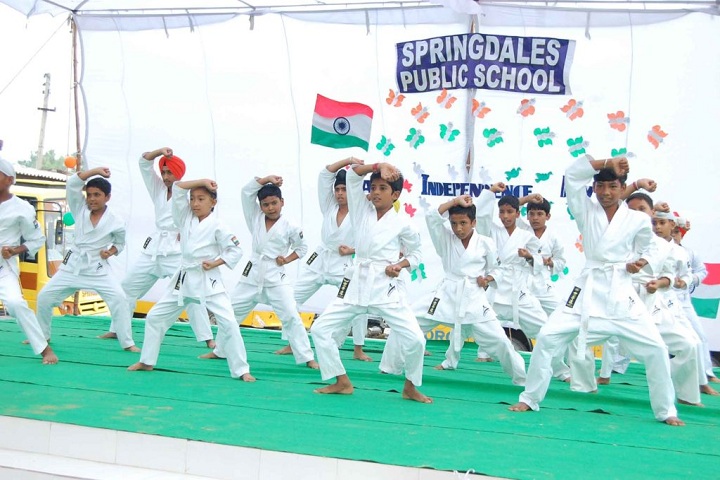 Springdales Public School-Independence day