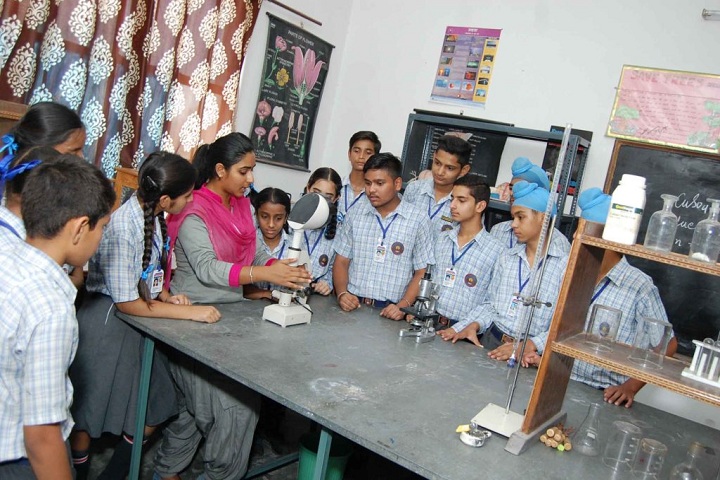 Springdales Public School-physics lab