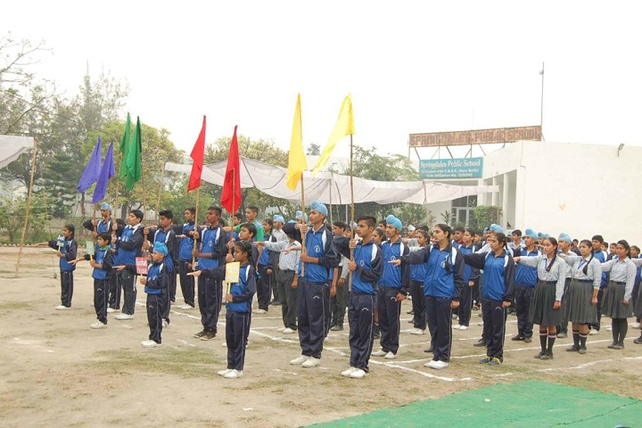 Springdales Public School-sports day
