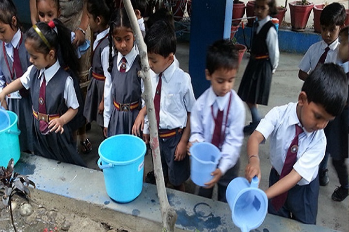 St Farid Public School-Activity