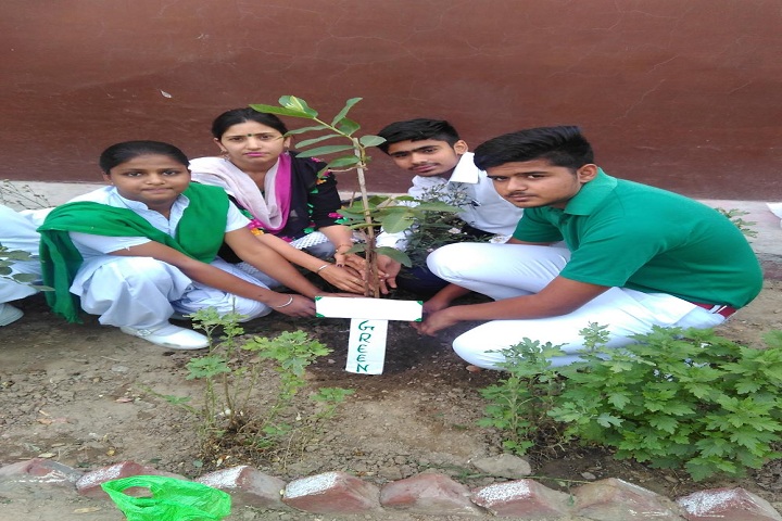 St Josephs School-Plantation