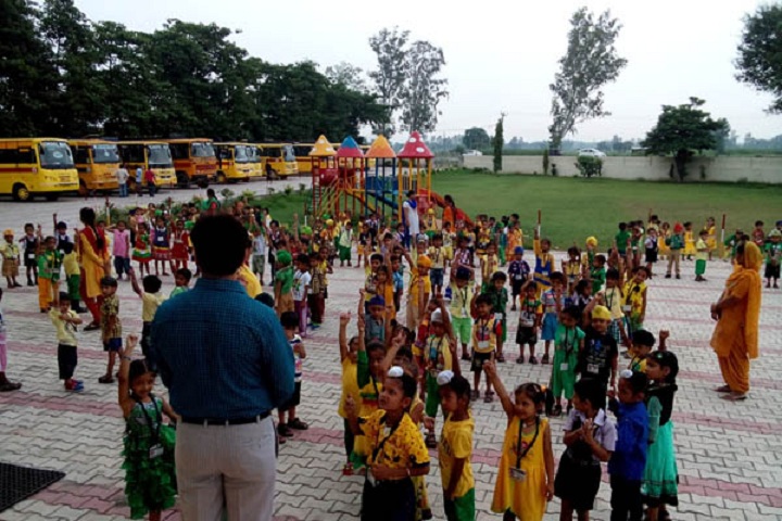 Sukhjinder memorial public school-Activity