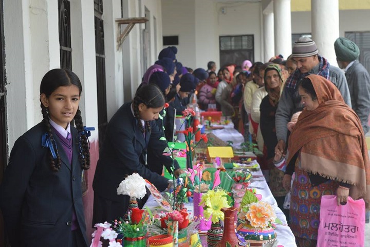 Sukhjinder Memorial Public School-Art Exhibition