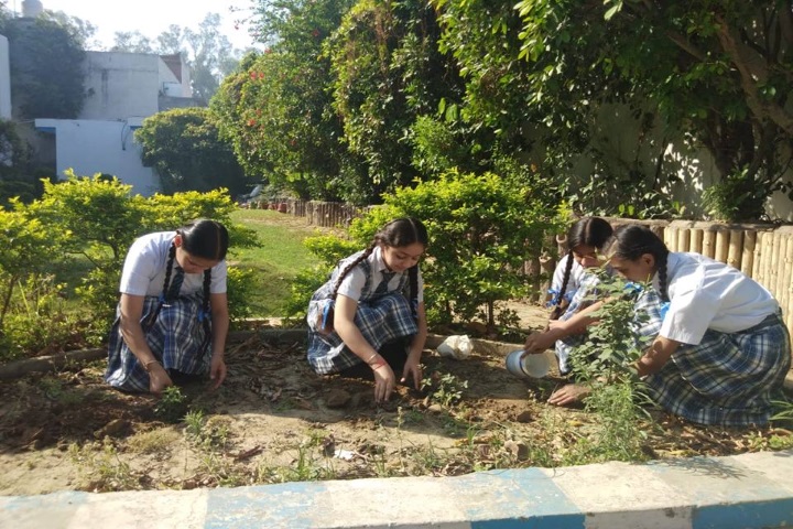 Tagores International Smart School-Tree Plantation