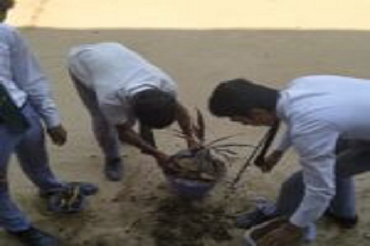 Kainat International School-Environmental Day