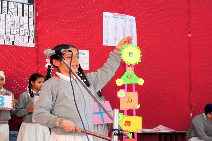 The Renaissance School-Childrens Day