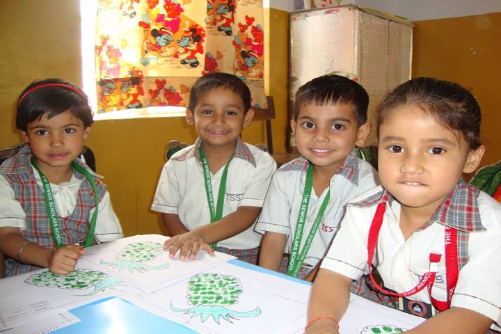 The Senior Scholars School-Activity