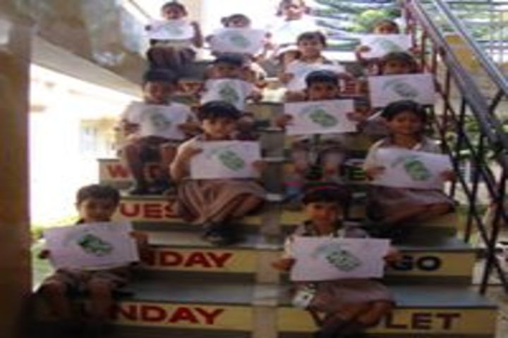 The Senior Scholar School-Activity