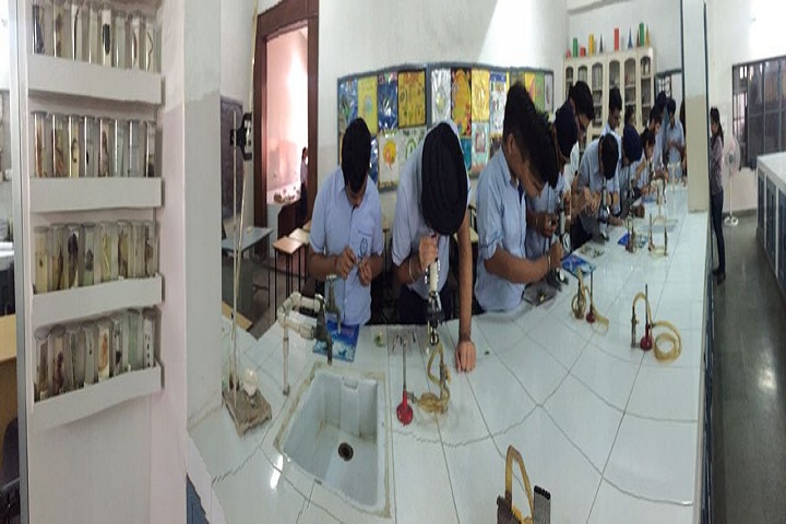 The Senior Study -II-biology lab