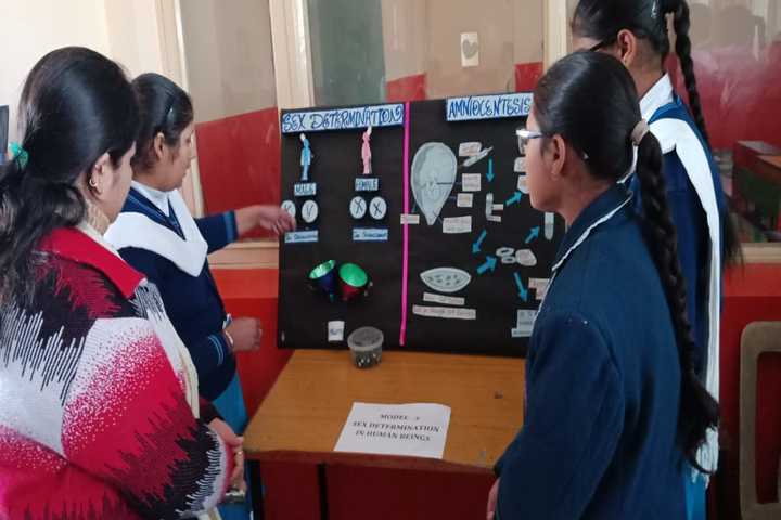 Uma Rana Public School-Creative Umarains
