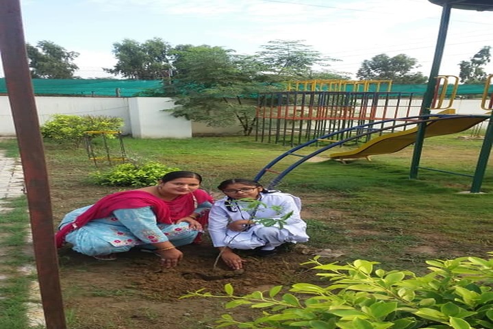 Unique School of Senior Secondary Studies-Plant a Tree