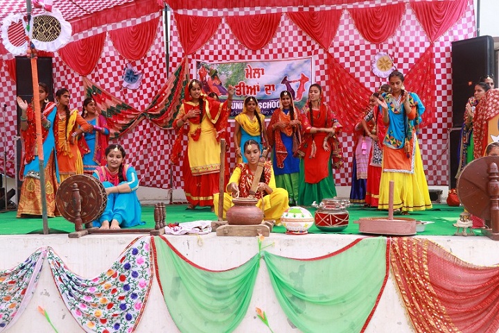 Unique School of Senior Secondary Studies-Teej Function