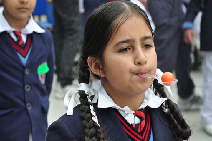 Y S Public School-Playing