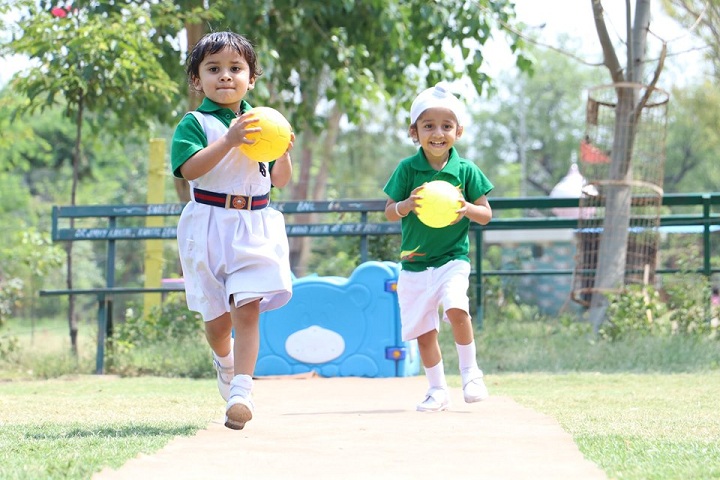 Y S Public School-Sports