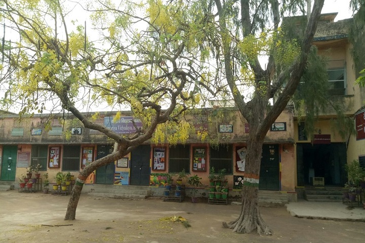 Kendriya Vidyalaya-Campus View
