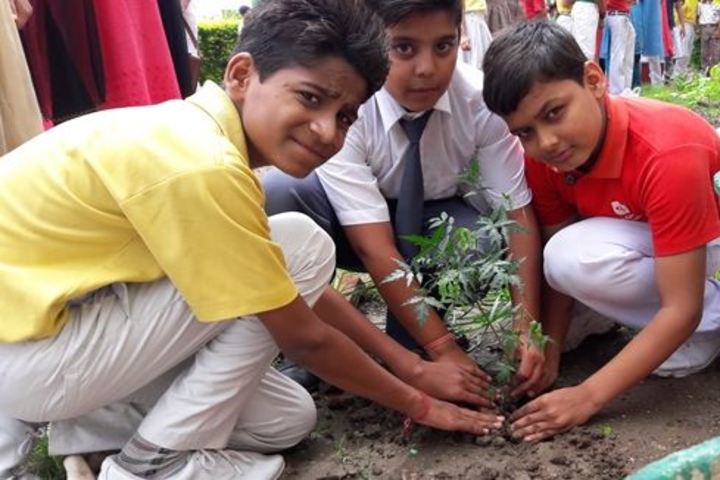 Alank Day Boarding Cum Residential School- Tree Plantation