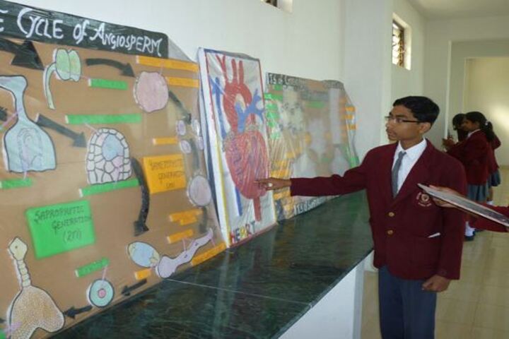 Aklank Public SchoolScience Exhibition