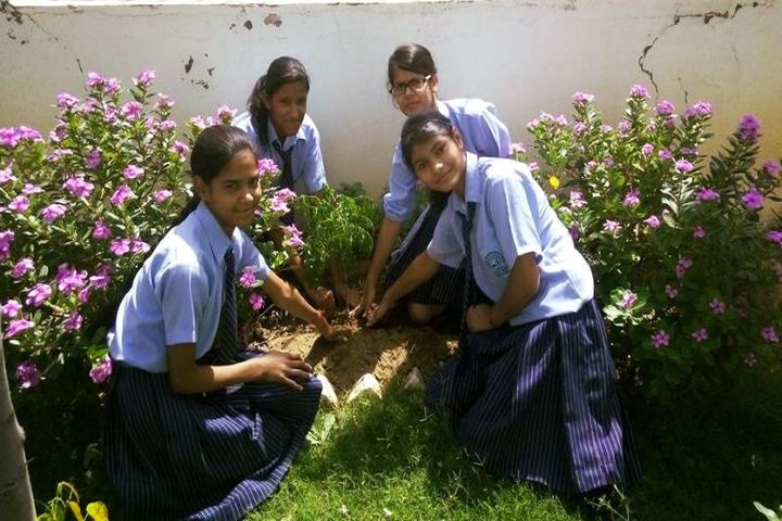 All Saints International School-Tree Plantation