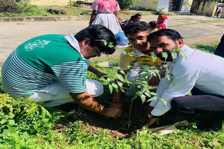 Alok Senior Secondary School-Plantation