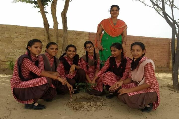 Ambition Public School-Tree Plantation