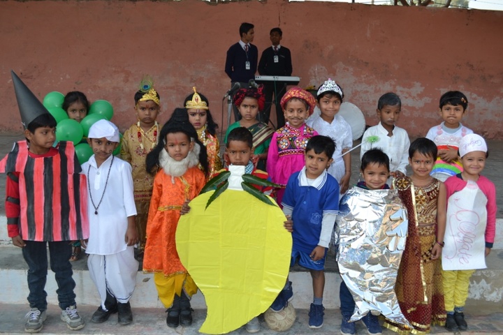 Army Public School-Fancy dress competition