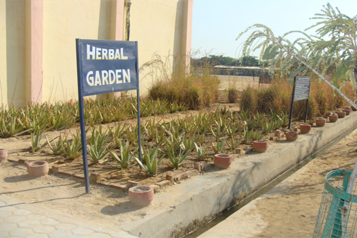 Army Public School - Garden