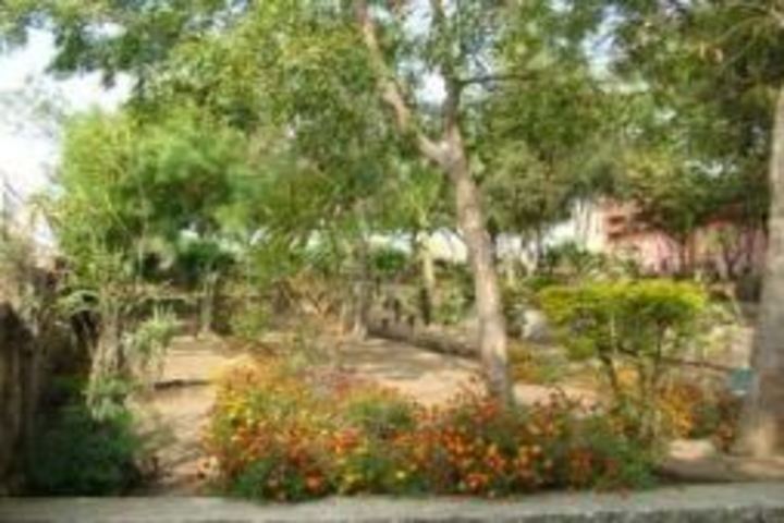 Atomic Energy Central School No 4-Botanical Ground
