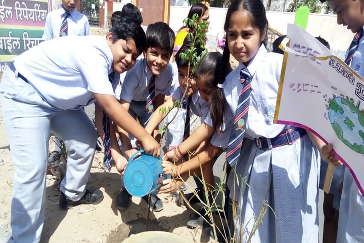 B R Birla Public School-Tree Plant