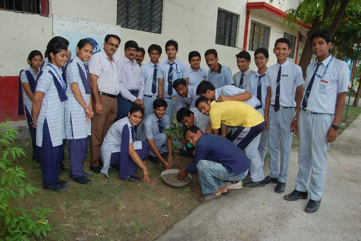 B R Birla Public Senior Secondary School Pali-Environment Day