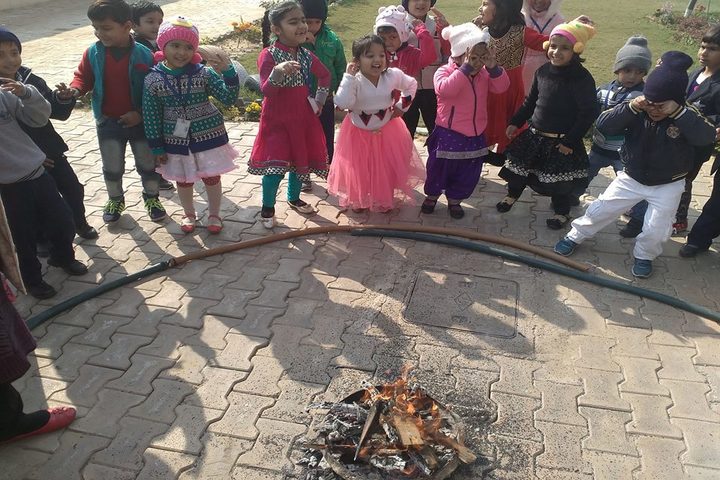 Bal Bharati Public School-Lohri Celebrations
