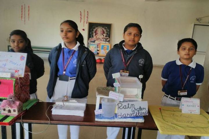 Bhagwan Das Pareek Dream School-Science Exhibition